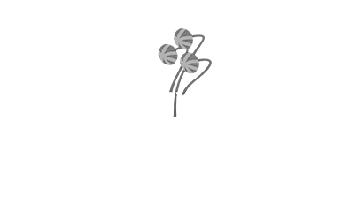 tourism newfoundland logo